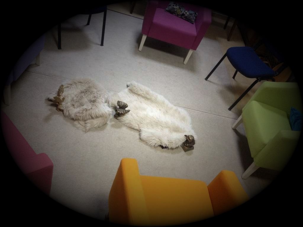 Kayıtlarımız hala açık