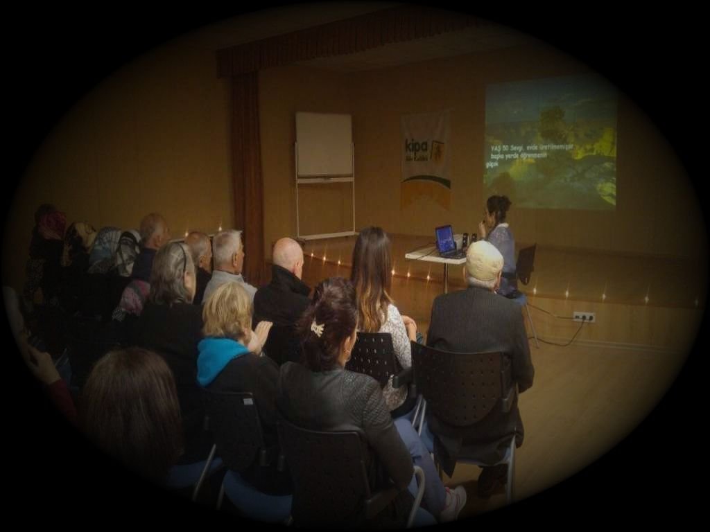 Yaşlıların Aşkı